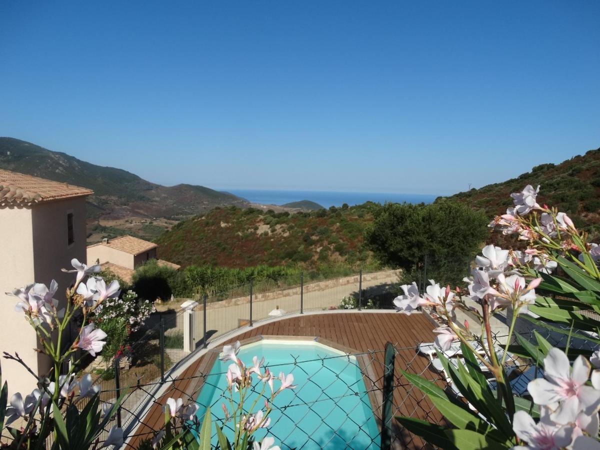 Gites Sassone, Vue Panoramique Sur Ajaccio Et La Mer Alata Buitenkant foto