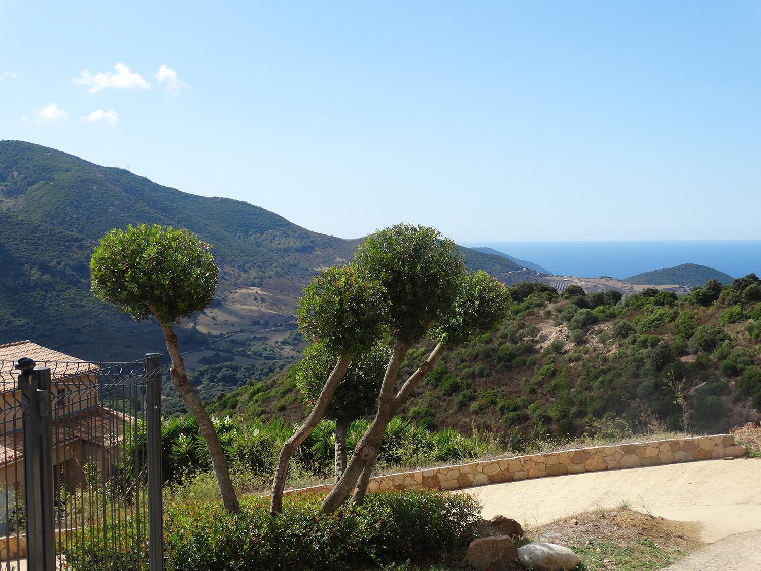 Gites Sassone, Vue Panoramique Sur Ajaccio Et La Mer Alata Buitenkant foto